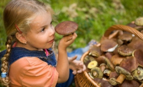Знайшли на дитячому майданчику: двоє дітей з Южного отруїлися дикорослими грибами