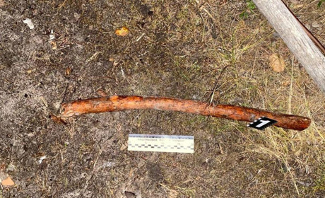 На Сарненщині чоловік побив брата палицею