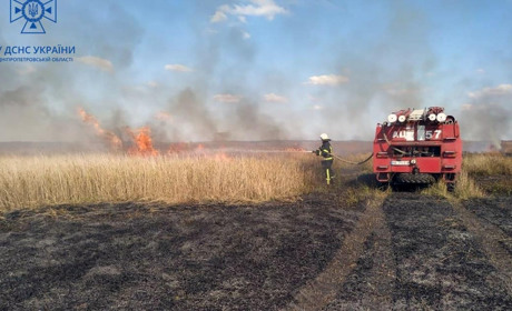 Поблизу Дмитрівки вигоріло п'ять гектарів сухостою: пожежу ліквідували