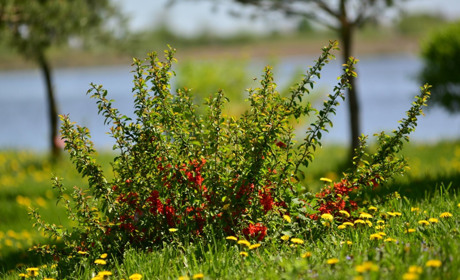 Складіть пазли і пригадайте літній Старокостянтинів: нова гра для теплих емоцій
