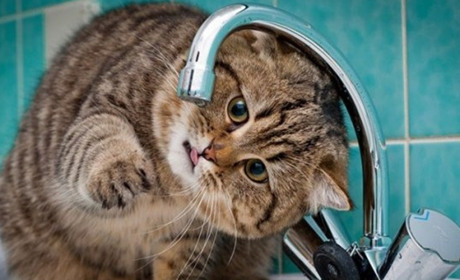 У Старокостянтинові тимчасово припинять водопостачання