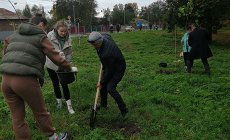 Ніжинську Набережну озеленюють..