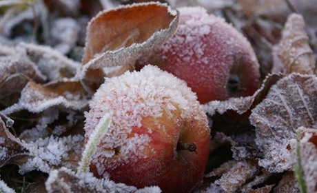 "До -2°C вночі": яку погоду на Гадяччині прогнозують синоптики на тиждень