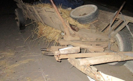 У селі на Сарненщині неповнолітній врізався у віз на мотоциклі