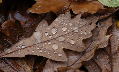 Погода на 17-23 жовтня: підготуйтесь до різкої зміни погоди