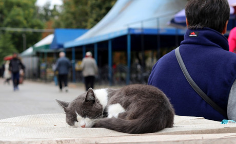 Як нікопольцям шукати в собі сили переживати труднощі. Поради психологині Ірини Штанько