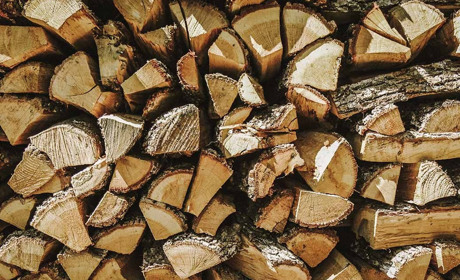 Запрацював державний інтернет-магазин дров