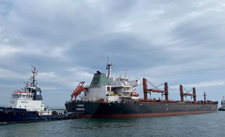 Порти Одещини працюють на 20-30% від можливого