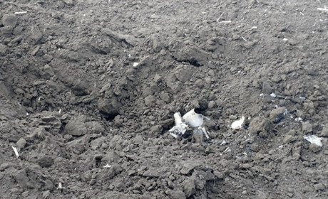На Житомирщині у полі між селами виявили уламки ворожої ракети