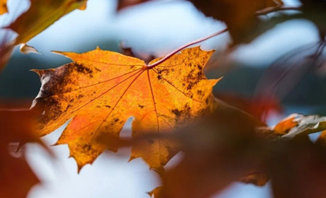 Погода на 24-30 жовтня: тиждень видасться вітряним і похмурим