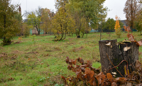 У Золотоноші осінь не збирається здавати позиції