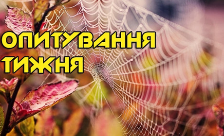 Опитування тижня: що ви робили у дні «бабиного літа»? Розповідають жителі Переяславщини