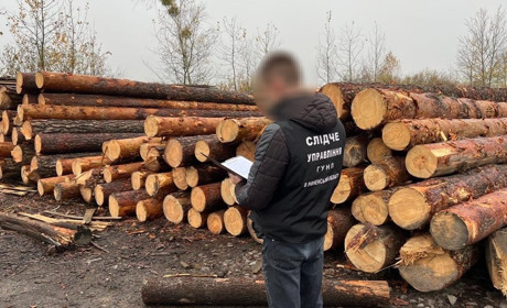 Обшуки на пилорамах Сарненщини: що вилучили правоохоронці