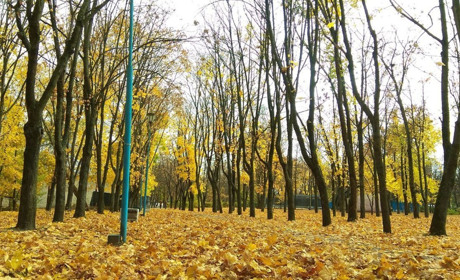 Наскільки добре ви знаєтесь на місцевих цікавинках?