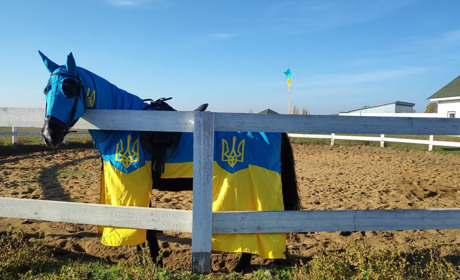 У первомайському Поні-парку відбулися змагання з верхової їзди