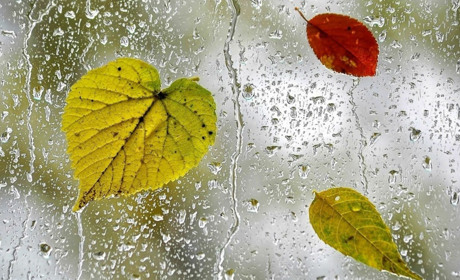 Погода в Кагарлику та Ржищеві на тиждень - з 31 жовтня по 6 листопада