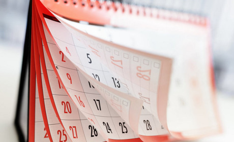 Державні та професійні свята у листопаді: що відзначатимемо