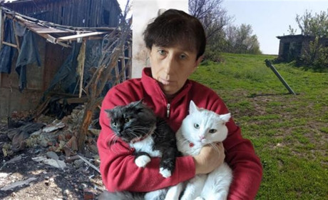 Як родина з Ізюма знайшла прихисток у Близнюках