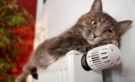 В Добропіллі визначилися з датою початку опалювального сезону. Коли в оселях стане тепло