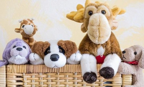 У благодійному фонді «Дітям Нікополя» збирають м’які іграшки: навіщо і як долучитися