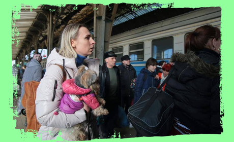 Чи планують переселенці повертатися додому: результати дослідження