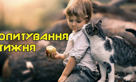 Опитування тижня: які звички у ваших домашніх тварин? Розповідають жителі Переяславщини