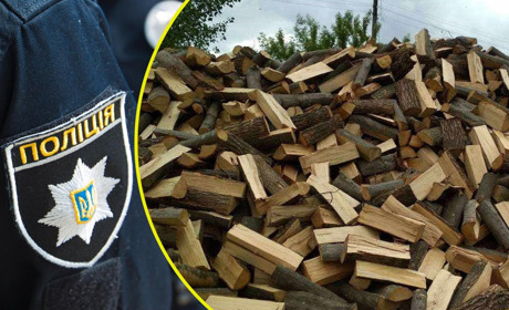 У Переяславі жінка хотіла запастися дровами, а залишилася і без дров, і без грошей: хроніка поліції