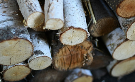 Жителям Добропільської громади видають безкоштовні дрова: де їх отримати