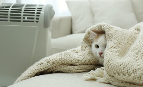 Як зареєструватися мешканцям Торецька для отримання безкоштовних обігрівачів та буржуйок