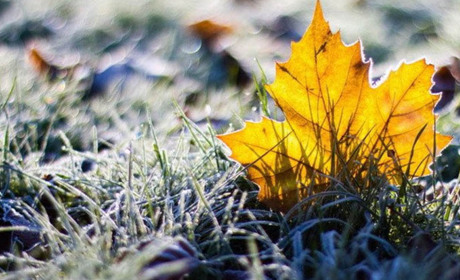 Погода в Кагарлику та Ржищеві на тиждень - з 14 по 20 листопада