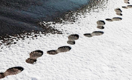 Мокрий сніг та ожеледиця: прогноз погоди на тиждень