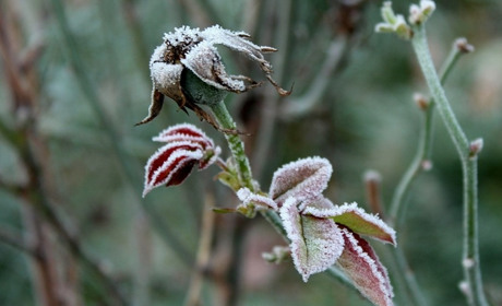 Погода на 14-20 листопада: підготуйтеся до різкої зміни погоди