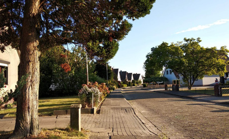 Про рівність, доступність та озеленення німецького міста очима нікопольця Дениса Портного