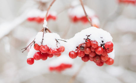 Якою буде погода на Кагарличчині та Ржищівщині на вихідні 19 і 20 листопада