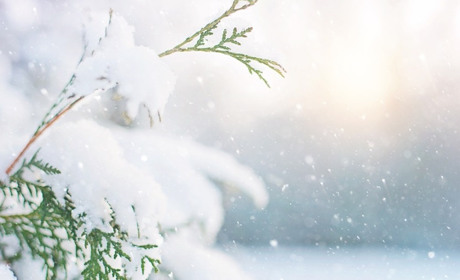 Погода на 21 - 27 листопада: снігопади і ожеледиця. Чи варто очікувати потепління