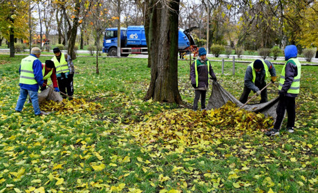 На сторожі благоустрою попри війну: тендери «Паркового господарства» на користь громади