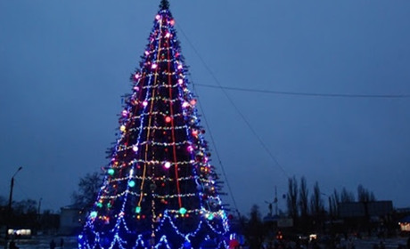 Ялинки у Шостці цьогоріч не буде