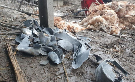 На Одещині ППО збило дві крилаті ракети, уламками вбило 20 курей