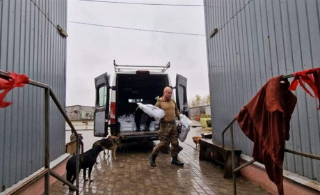 Корм, медикаменти, клітки: волонтери з Норвегії підтримали нікопольський притулок для собак