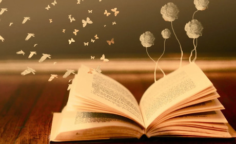Тест на знання книг: перевір наскільки добре ви орієнтуєтеся в літературі