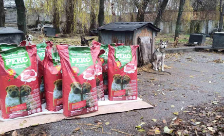 Волонтери закупили корм для тварин у Добропільському притулку: деталі