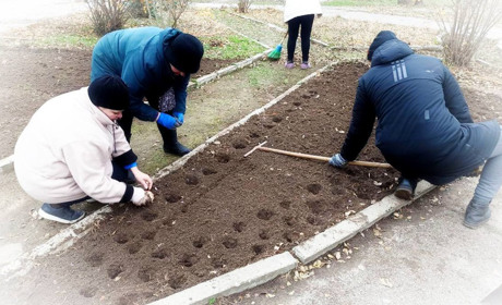 Тюльпани, гіацинти, крокуси: на шкільних клумбах Нікополя висадили первоцвіти від благодійників