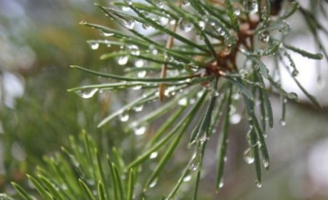 Погода в Кагарлику та Ржищеві на тиждень - з 12 по 18 грудня