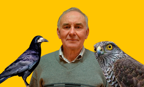 Зиму переживає лише одна синиця із десяти. Інтерв’ю із гадяцьким орнітологом Сергієм Литвиненком