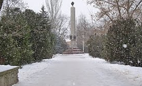Живих людей можна побачити в центрі міста