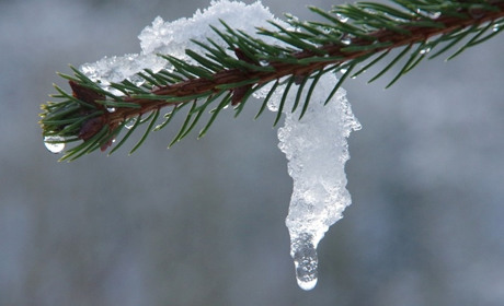 Погода на 19-25 грудня: коли прийде відлига