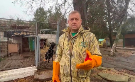 Російські загарбники викрали тварин з міні-зоопарку Каховки