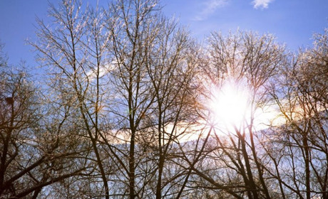 Погода в Кагарлику та Ржищеві на тиждень - з 26 грудня по 1 січня