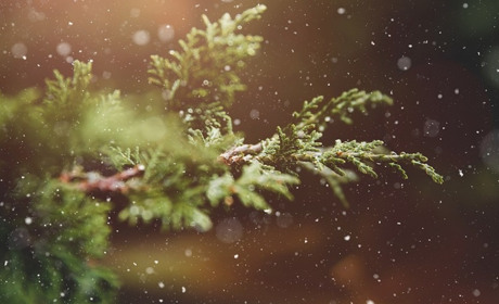 Погода на 26 грудня - 1 січня: яким буде останній тиждень року