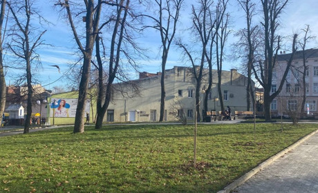 Зловмисники зламали дерева, які росли в пам’ять про жінок, полеглих в російсько-українській війні